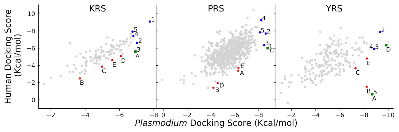 Free energy landscape